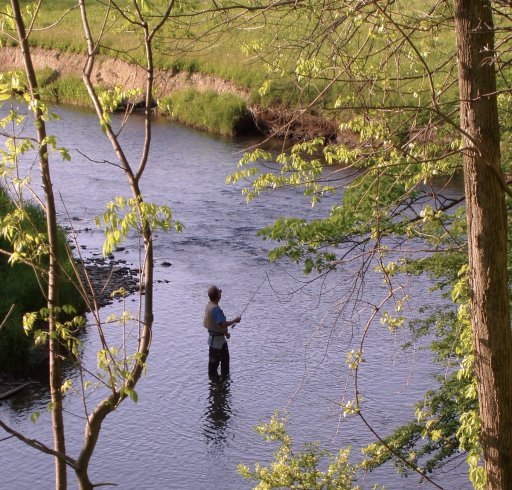Ischua Creek, seen here a short distance downstream of Kent Road, is considered one of the better fly-fishing streams in western New York. This stream meanders along a valley bottom, and the many bends in this creek form deep pools along the outside bank, providing holding areas for trout in the spring. But as it does so, it also erodes the stream banks and adds silt to the flow. I took this photo about 25 years ago. Compare it to the next photo, which I took in 2024.