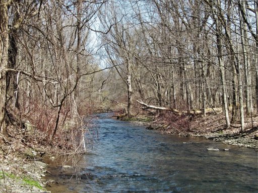 Elm Creek