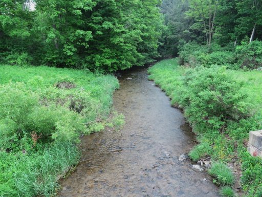 Sugar Creek, seen looking downstream from Blank Hill Road. From this point on, Sugar Creek flows through a densely wooded area with a complete riparian canopy. This section of the stream is stocked with brook trout.