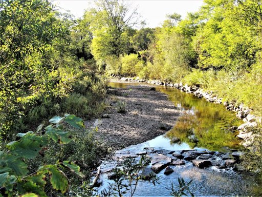 Prendergast Creek, seen looking upstream from the crossing at Chautauqua-Stedman Road. This is about 1,800 feet downstream of the mouth of Wing Creek, which provides Prendergast Creek with a year-round flow of cold water, enabling the stream to support a large population of wild brown trout, even during low summer flows. 