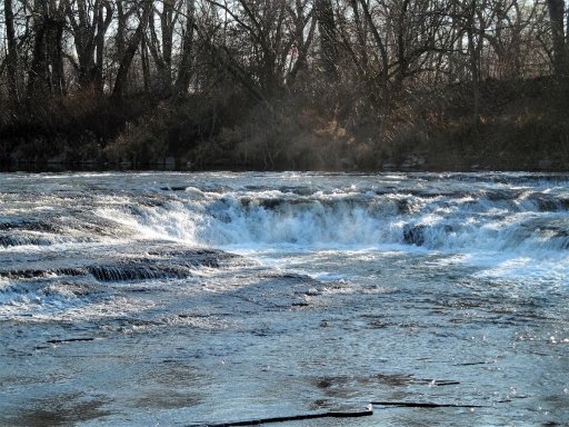 The steelhead from the Buffalo River that wander up into Cazenovia Creek encounter this low falls a short distance upstream in Cazenovia Park.  Most of the fish can make their way over the falls unless the stream is jammed with ice.  