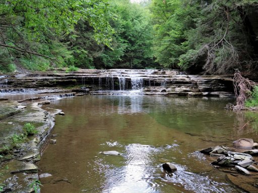 This is one of several waterfalls found on Canaseraga Creek. Though most of this stream is poor quality habitat for trout, a few stocked trout can be found where waterfalls and springs occur. The waterfalls contribute oxygen to the water, and springs help to keep the water cool. Where these occur, a few trout are able to survive.  

As with all of the waterfalls on Canaseraga Creek, this one is on private property, and you should obtain permission before going here. 