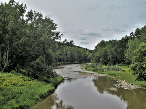 Cazenovia Creek, seen here looking upstream in the Cazenovia Creek Fish & Wildlife Management Area.