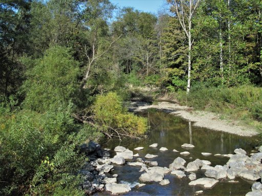 Prendergast Creek
