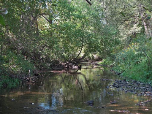 Cherry Creek