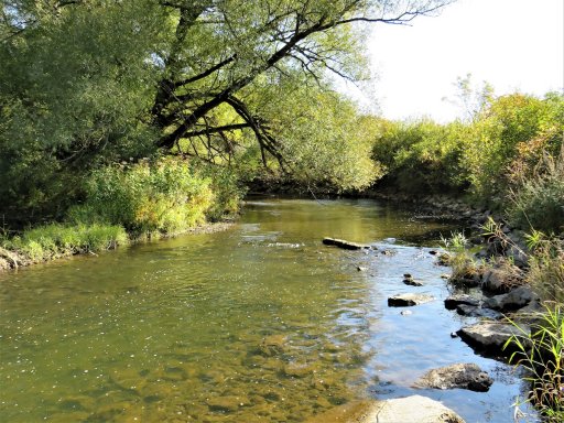 A long section of Ischua Creek  can be accessed by walking along the edge of the playing field at Franklinville Elementary School. The section is very sinuous and has lots of large woody debris, several long, deep runs, and some of the coldest water in the entire stream. Public fishing rights extend from the town line almost downstream to Elm Street/Bakerstand Road.  