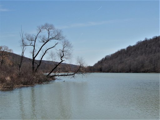 Klossner's Pond is a wide impoundment of Canaseraga Creek. In the spring, anglers can find northern pike, bullheads, and panfish near shore, while birders do well spotting species such as herons, egrets, and eagles.