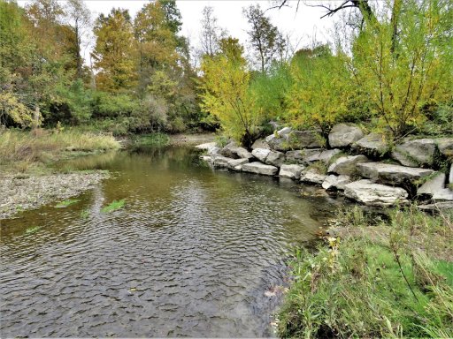 Bank erosion is severe along some sections of Prendergast Creek, requiring riprap to be installed to protect property. 