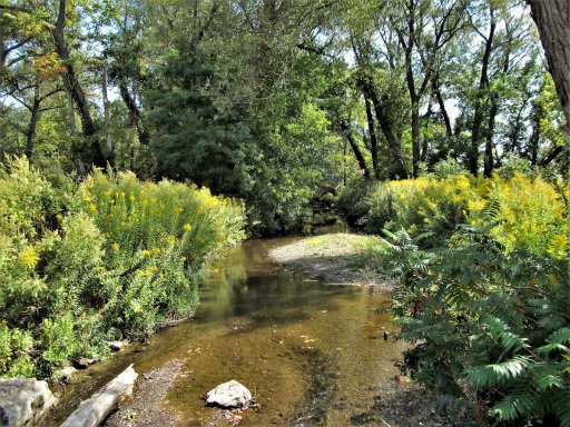 Cherry Creek, seen looking downstream from Southside Avenue in the hamlet of Cherry Creek. This is a bit downstream of the better fishing portion of the stream, but a few wild brown trout are likely still found here. Unfortunately, the properties on both sides of the road are heavily posted. But a polite request might get you access to rarely fished water.