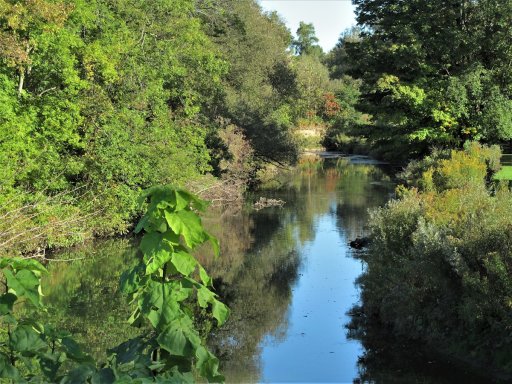 The short section of Prendergast Creek downstream of Route 394 offers opportunities to catch panfish, bass, walleyes, muskies, and brown trout. This section is probably best fished from a fishing kayak or canoe. You can also paddle a short way upstream of Route 394, but the stream quickly gets shallow.